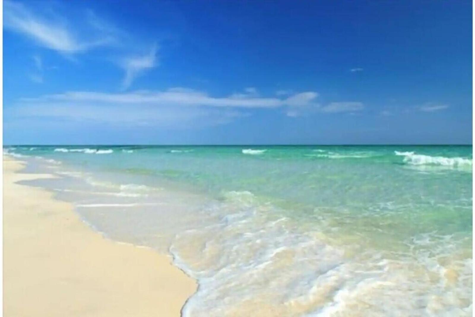 Beachfront Getaway In Siesta Key Kültér fotó